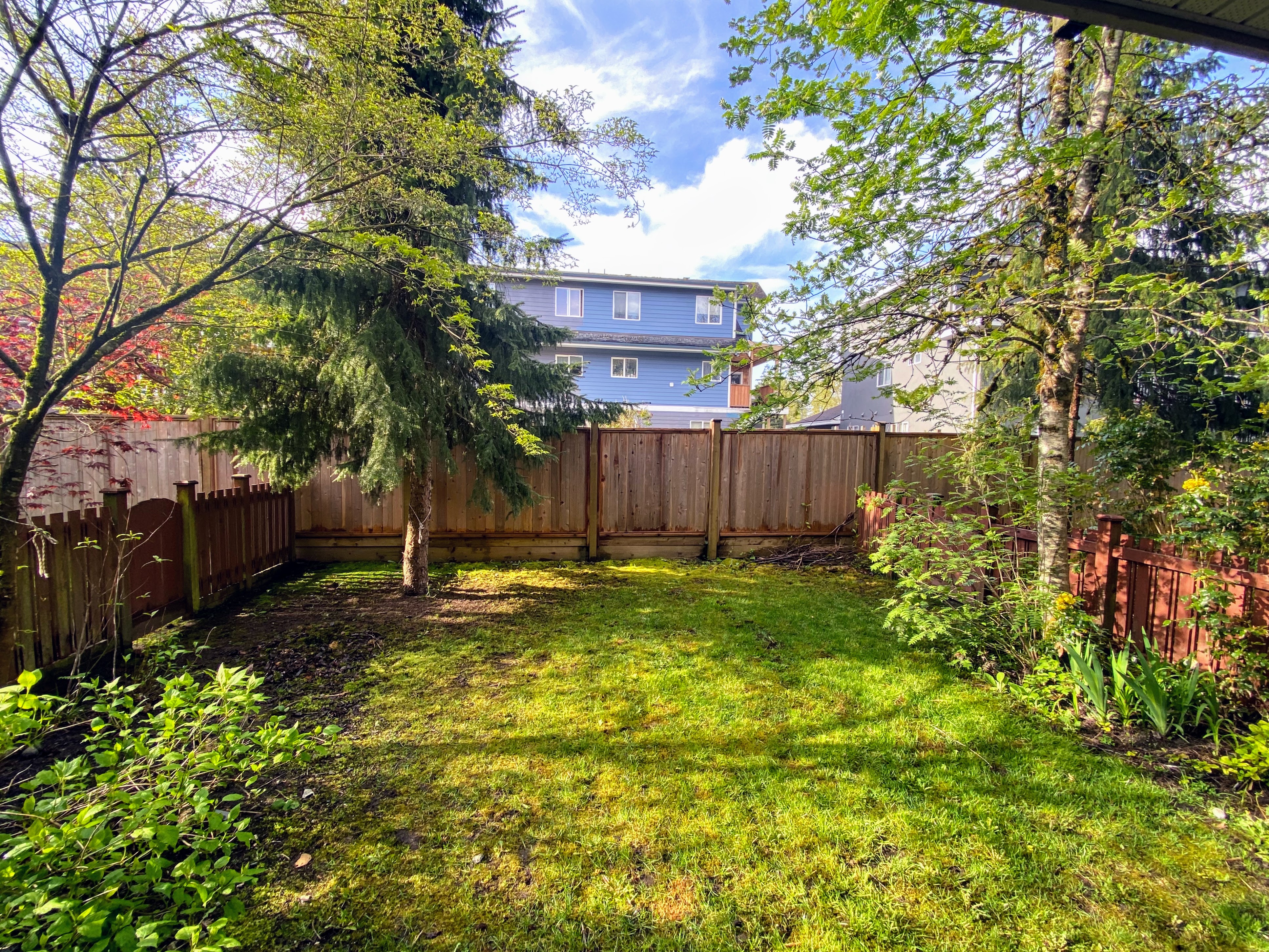 Fully fenced south-facing backyard
