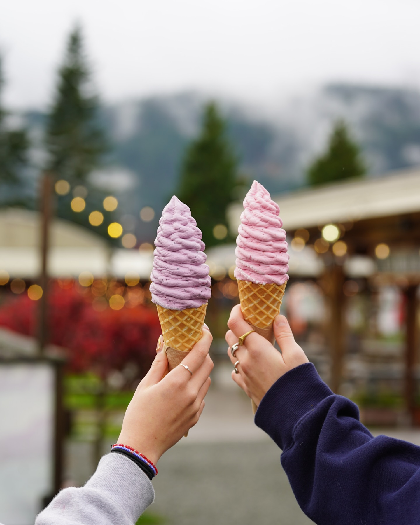 Alice & Brohm — delicious fruit-based ice cream