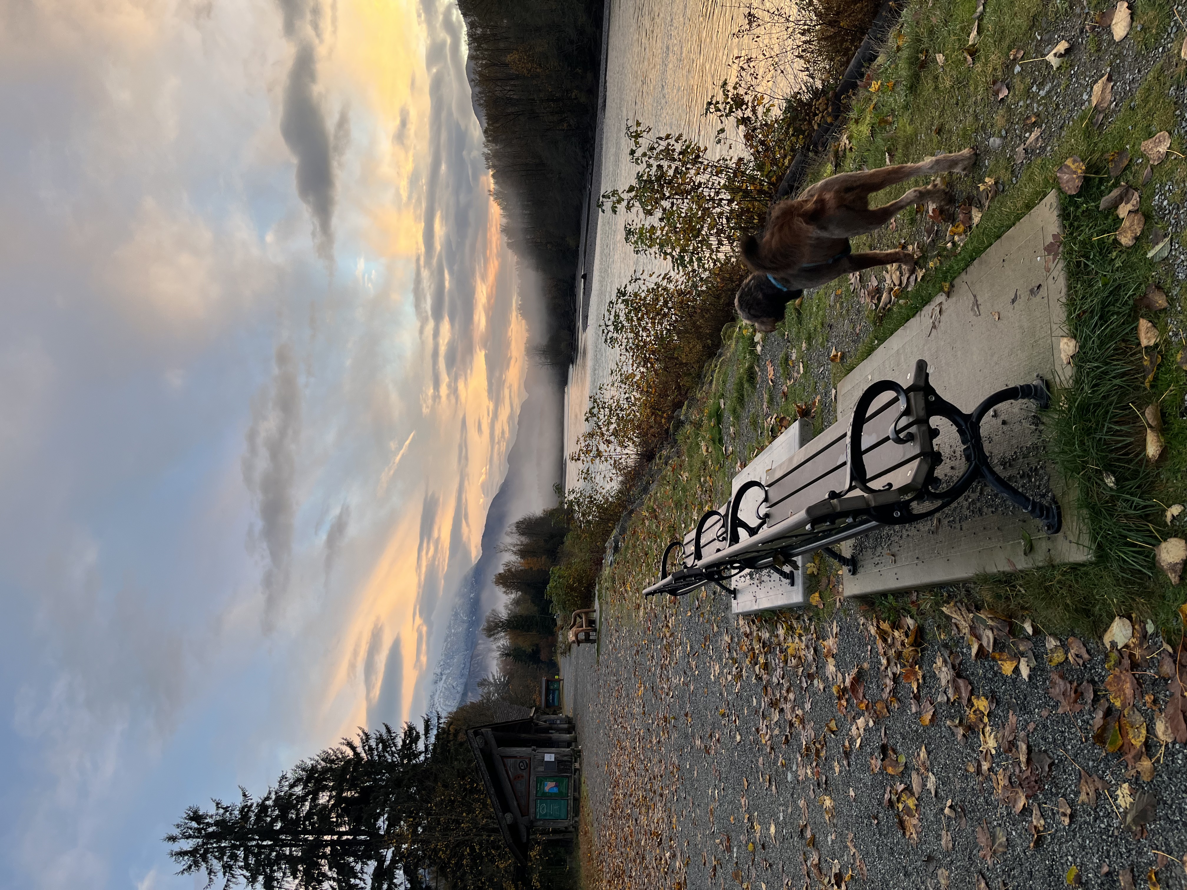 Squamish Dyke — eagles, seals, and sunsets