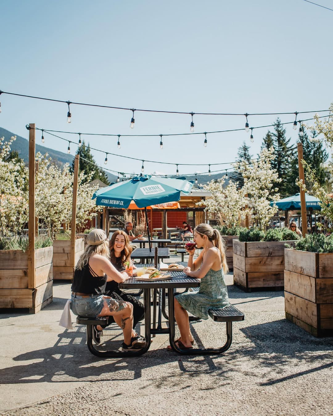 Locavore Bar & Grill in Squamish